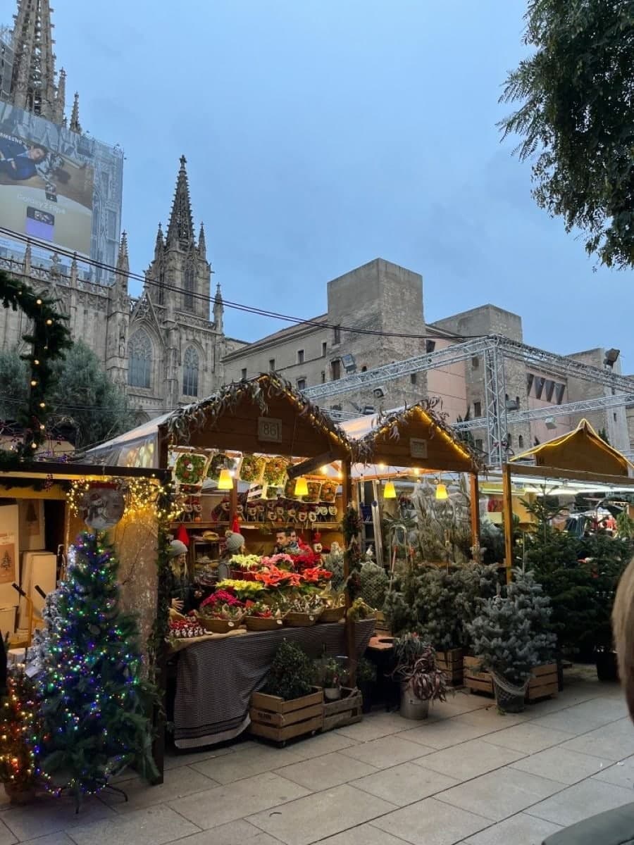 Christmas market stalls with poinsettias and small trees below the cathedral