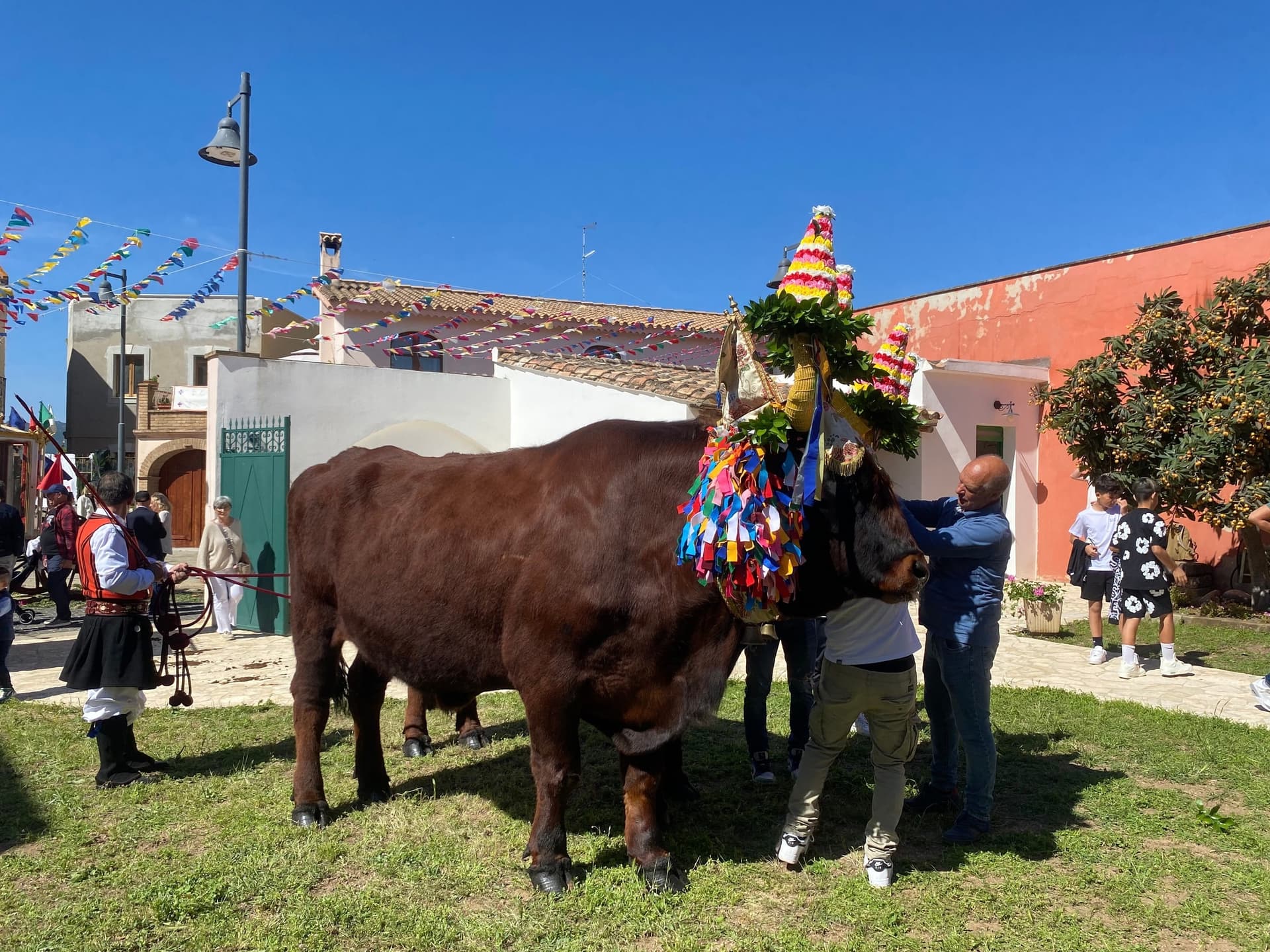 An ox decorated with flowers and ribbons, led by men in Sardinian traditional dress