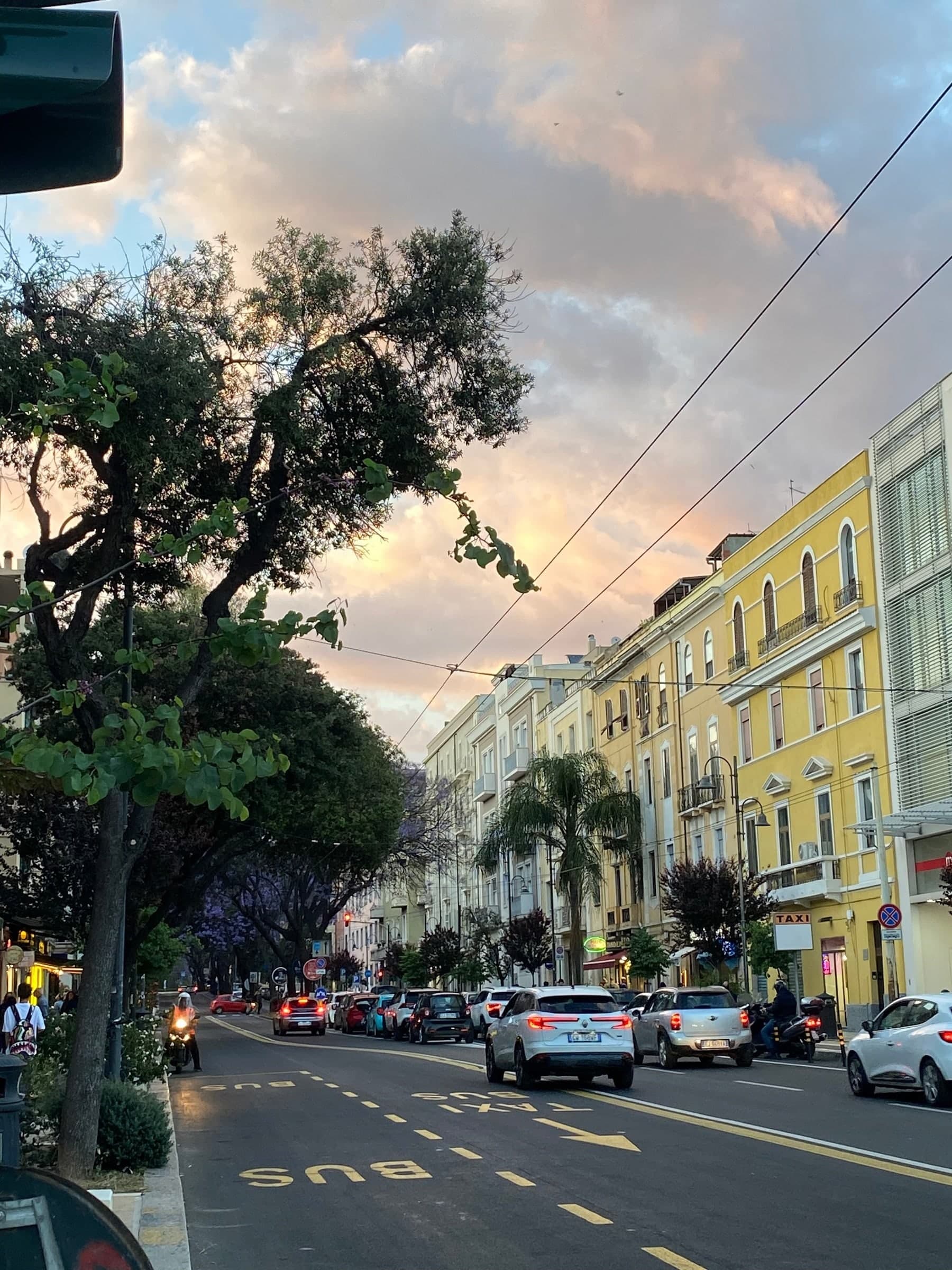 A Cagliari avenue at sunset, yellow facades and palm trees