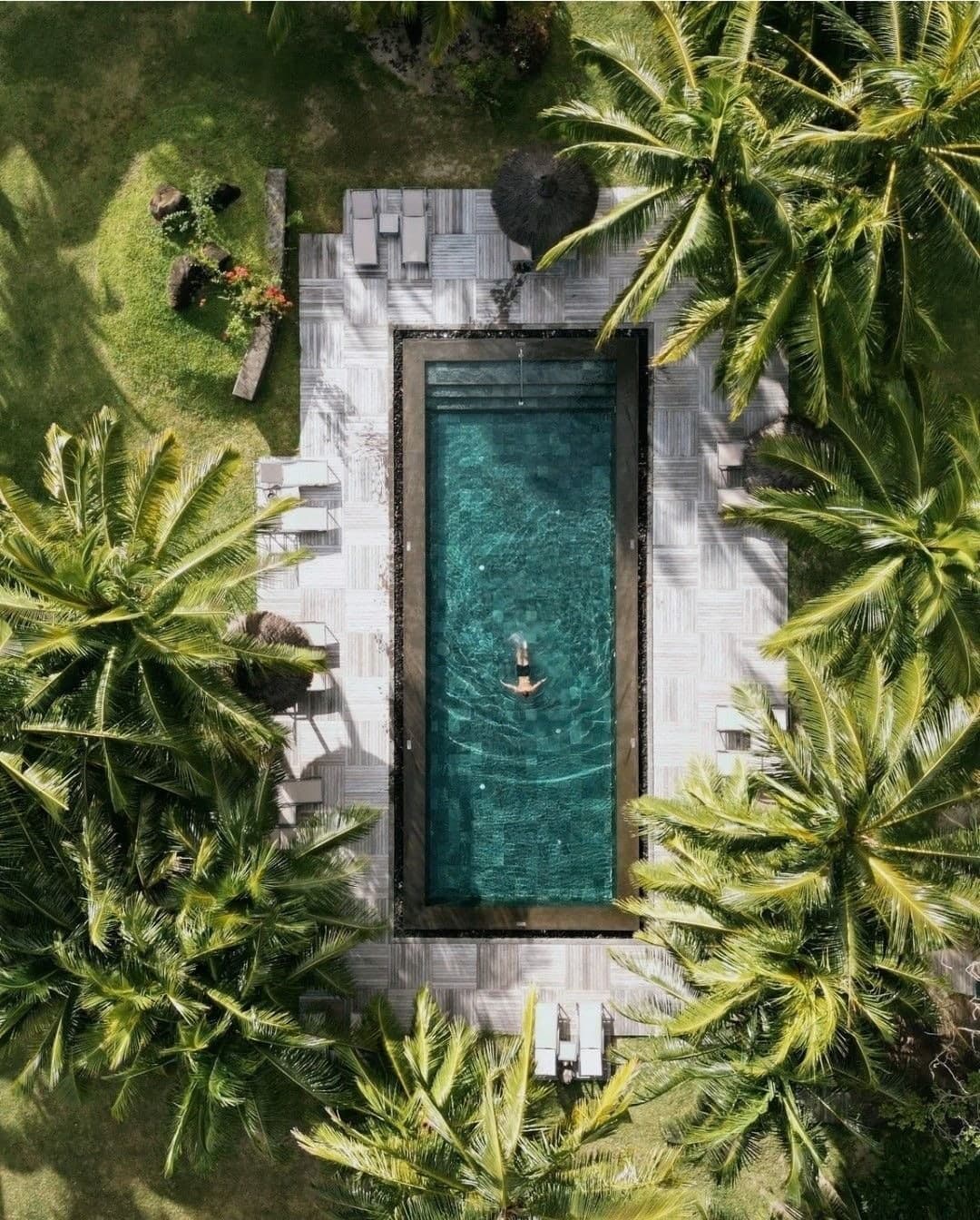 A narrow turquoise pool surrounded by palm trees, seen from directly above, a swimmer in the water